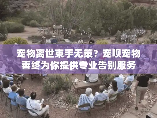 宠物离世束手无策？宠呗宠物善终为你提供专业告别服务