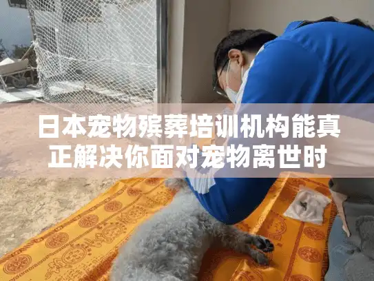 日本宠物殡葬培训机构能真正解决你面对宠物离世时的无助感吗