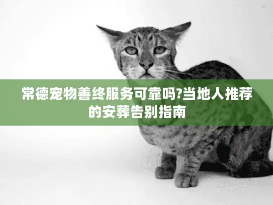 常德宠物善终服务可靠吗?当地人推荐的安葬告别指南