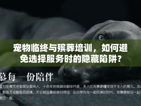 宠物临终与殡葬培训，如何避免选择服务时的隐藏陷阱？