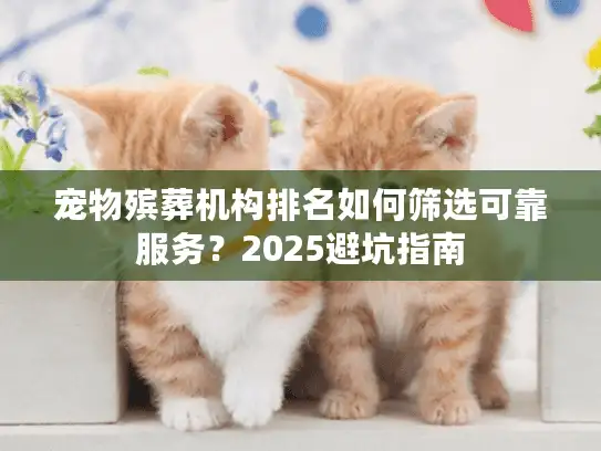宠物殡葬机构排名如何筛选可靠服务？2025避坑指南