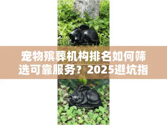 宠物殡葬机构排名如何筛选可靠服务？2025避坑指南