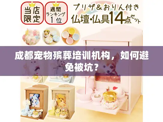 成都宠物殡葬培训机构，如何避免被坑？