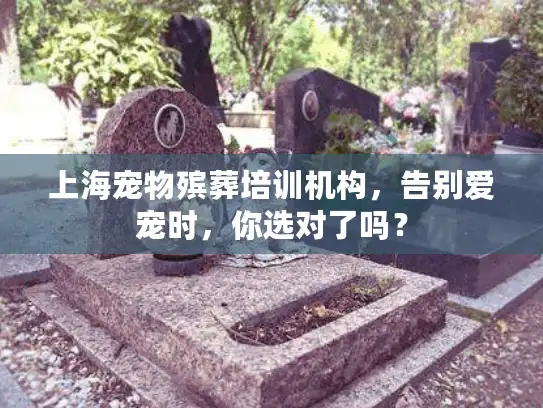 上海宠物殡葬培训机构，告别爱宠时，你选对了吗？