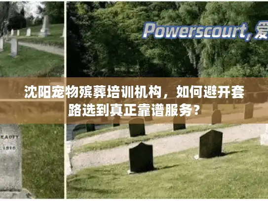 沈阳宠物殡葬培训机构，如何避开套路选到真正靠谱服务？