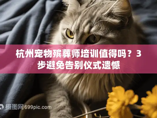 杭州宠物殡葬师培训值得吗？3步避免告别仪式遗憾
