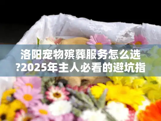 洛阳宠物殡葬服务怎么选?2025年主人必看的避坑指南