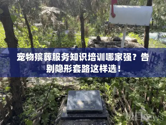 宠物殡葬服务知识培训哪家强？告别隐形套路这样选！