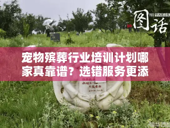 宠物殡葬行业培训计划哪家真靠谱？选错服务更添心头痛