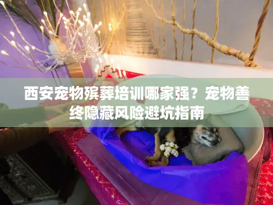 西安宠物殡葬培训哪家强？宠物善终隐藏风险避坑指南