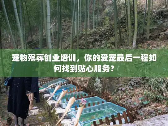 宠物殡葬创业培训，你的爱宠最后一程如何找到贴心服务？