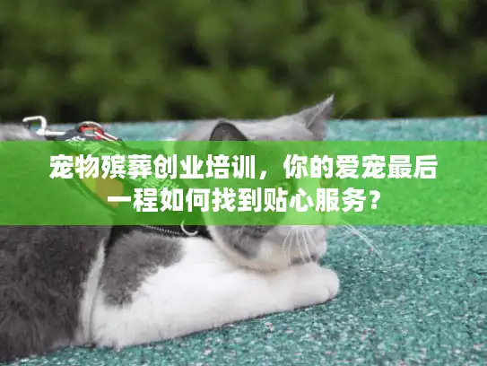 宠物殡葬创业培训，你的爱宠最后一程如何找到贴心服务？