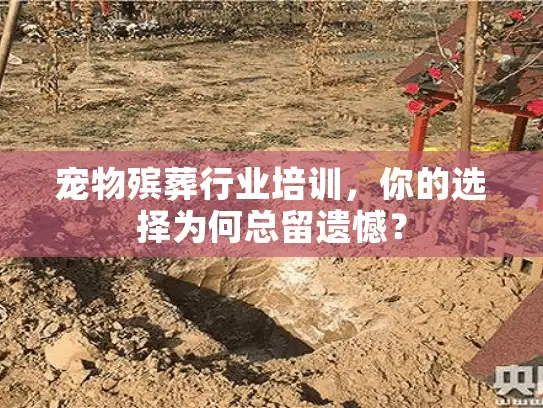 宠物殡葬行业培训，你的选择为何总留遗憾？