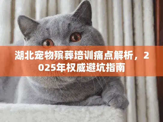 湖北宠物殡葬培训痛点解析，2025年权威避坑指南