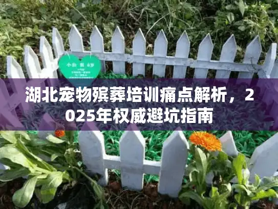 湖北宠物殡葬培训痛点解析，2025年权威避坑指南