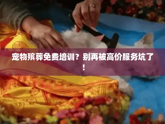 宠物殡葬免费培训？别再被高价服务坑了！