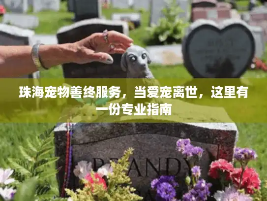 珠海宠物善终服务，当爱宠离世，这里有一份专业指南