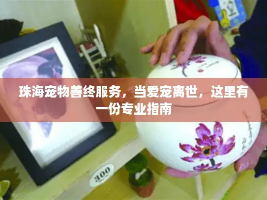 珠海宠物善终服务，当爱宠离世，这里有一份专业指南