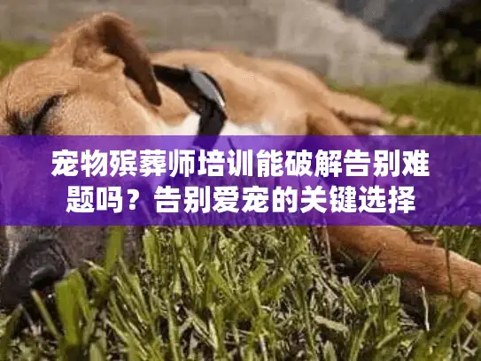 宠物殡葬师培训能破解告别难题吗？告别爱宠的关键选择