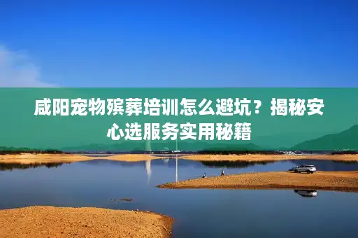 咸阳宠物殡葬培训怎么避坑？揭秘安心选服务实用秘籍