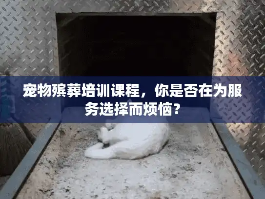 宠物殡葬培训课程，你是否在为服务选择而烦恼？