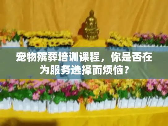 宠物殡葬培训课程，你是否在为服务选择而烦恼？