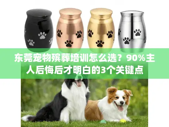 东莞宠物殡葬培训怎么选？90%主人后悔后才明白的3个关键点