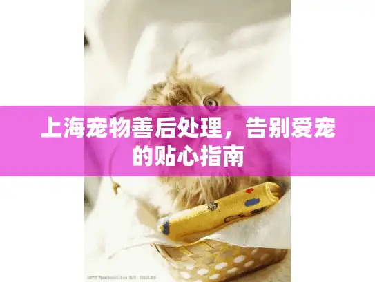 上海宠物善后处理，告别爱宠的贴心指南