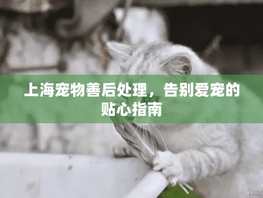 上海宠物善后处理，告别爱宠的贴心指南