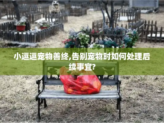 小逗逗宠物善终,告别宠物时如何处理后续事宜?