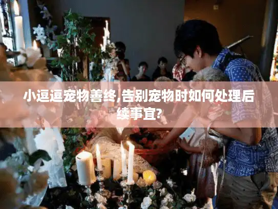 小逗逗宠物善终,告别宠物时如何处理后续事宜?