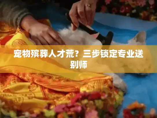 宠物殡葬人才荒？三步锁定专业送别师