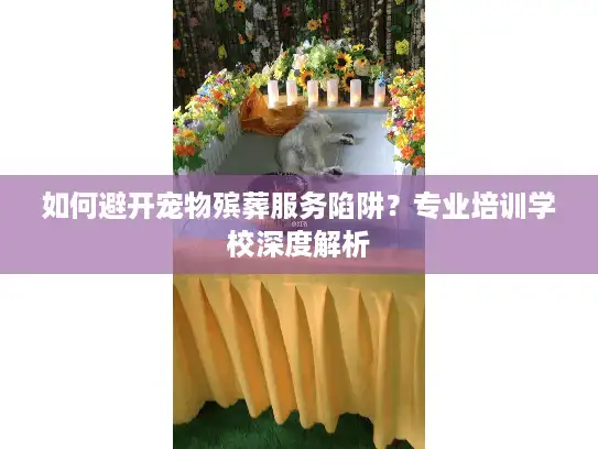 如何避开宠物殡葬服务陷阱？专业培训学校深度解析