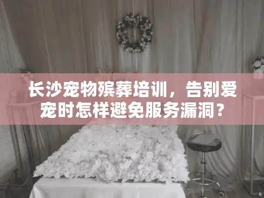 长沙宠物殡葬培训，告别爱宠时怎样避免服务漏洞？