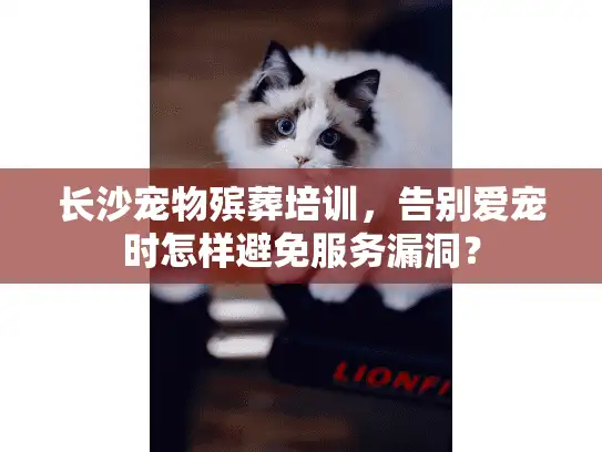 长沙宠物殡葬培训，告别爱宠时怎样避免服务漏洞？