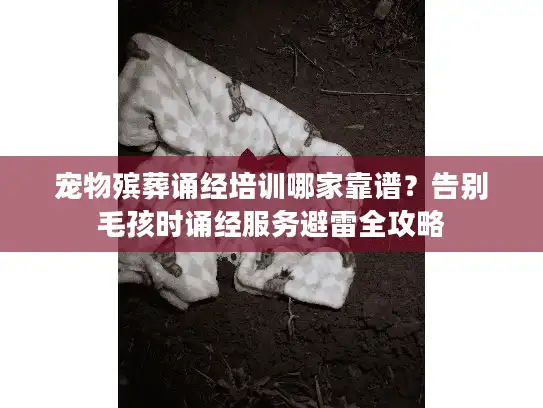 宠物殡葬诵经培训哪家靠谱？告别毛孩时诵经服务避雷全攻略