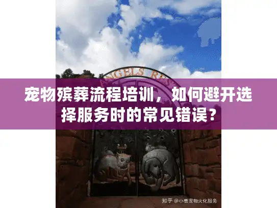 宠物殡葬流程培训，如何避开选择服务时的常见错误？