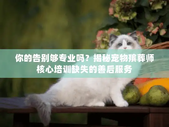 你的告别够专业吗？揭秘宠物殡葬师核心培训缺失的善后服务