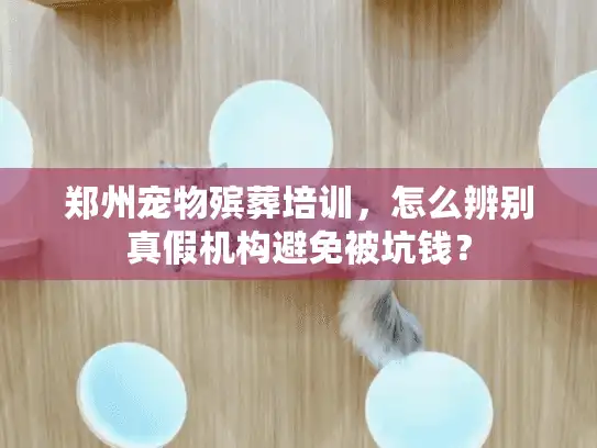郑州宠物殡葬培训，怎么辨别真假机构避免被坑钱？