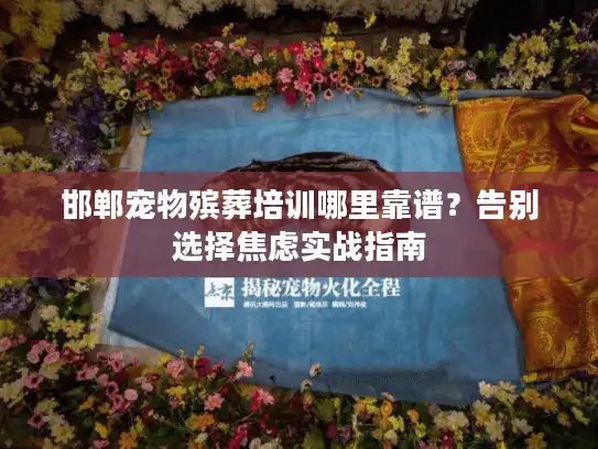 邯郸宠物殡葬培训哪里靠谱？告别选择焦虑实战指南