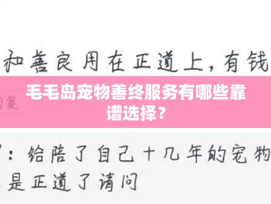 毛毛岛宠物善终服务有哪些靠谱选择？