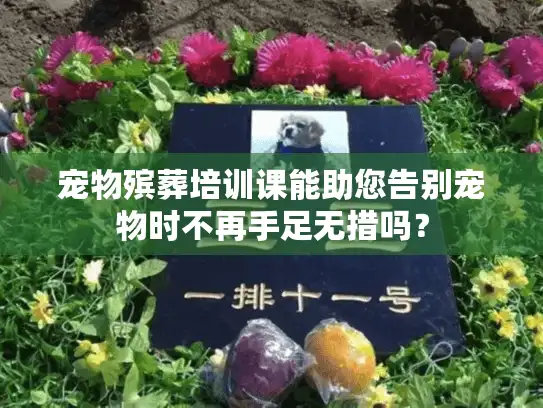 宠物殡葬培训课能助您告别宠物时不再手足无措吗？