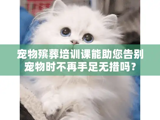 宠物殡葬培训课能助您告别宠物时不再手足无措吗？