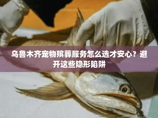 乌鲁木齐宠物殡葬服务怎么选才安心？避开这些隐形陷阱