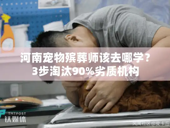 河南宠物殡葬师该去哪学？3步淘汰90%劣质机构