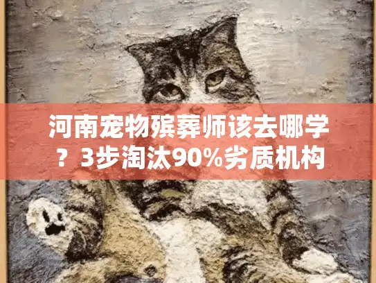 河南宠物殡葬师该去哪学？3步淘汰90%劣质机构