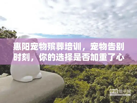 惠阳宠物殡葬培训，宠物告别时刻，你的选择是否加重了心痛？