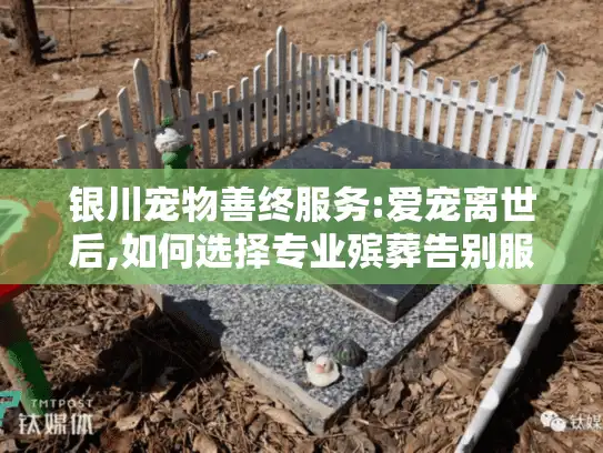 银川宠物善终服务:爱宠离世后,如何选择专业殡葬告别服务?