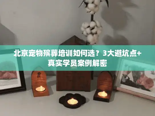 北京宠物殡葬培训如何选？3大避坑点+真实学员案例解密