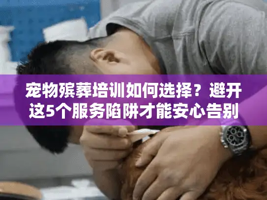 宠物殡葬培训如何选择？避开这5个服务陷阱才能安心告别